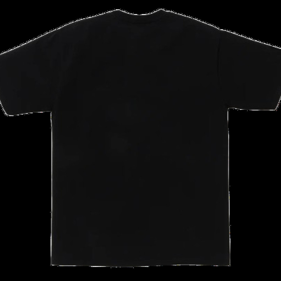 베이프 온라인 한정 베이프 닷컴 빅 비지 워크스 베이펙스 반팔티 2컬러 1L25110010